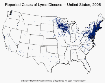 CDC reported Lymes cases 2006