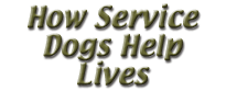How Service Dogs Help Lives