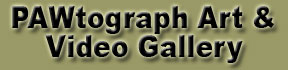 PAWtographed Art & Video Gallery 