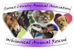 Sussex County's Whimsical Animal Rescue