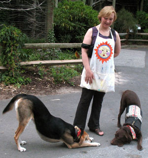 Sammy & Major bowing after their performances.