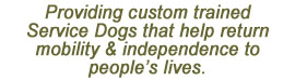Providing custom trained Service Dogs that help return mobility & independence to people's lives.