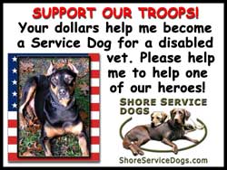 Donate to support one of our troops!